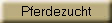 Pferdezucht