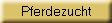 Pferdezucht