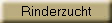Rinderzucht