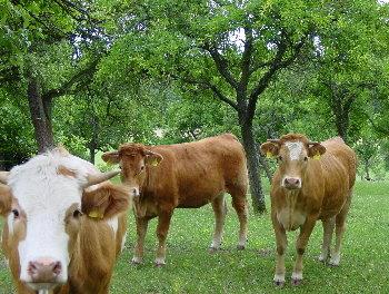 DSC00172
