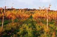 Weinberg3